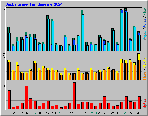 Daily usage for January 2024