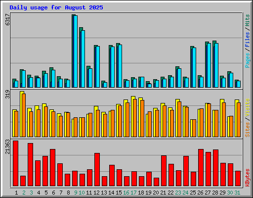 Daily usage for August 2025
