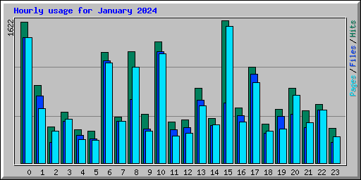 Hourly usage for January 2024