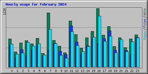 Hourly usage for February 2024