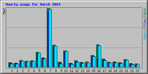 Hourly usage for March 2024