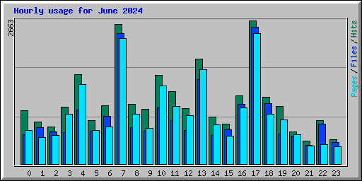 Hourly usage for June 2024