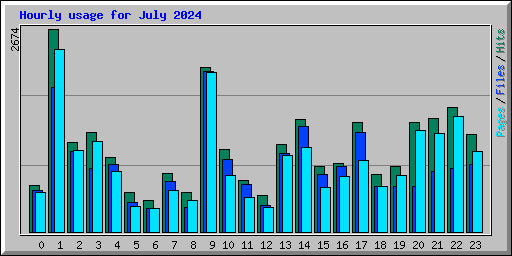 Hourly usage for July 2024