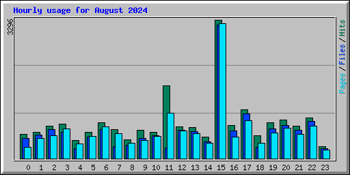 Hourly usage for August 2024