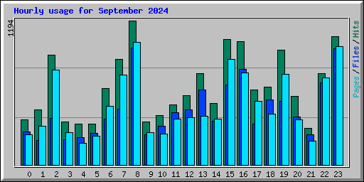 Hourly usage for September 2024