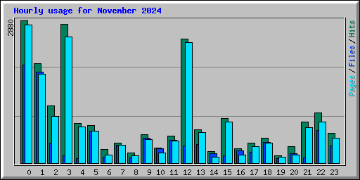 Hourly usage for November 2024