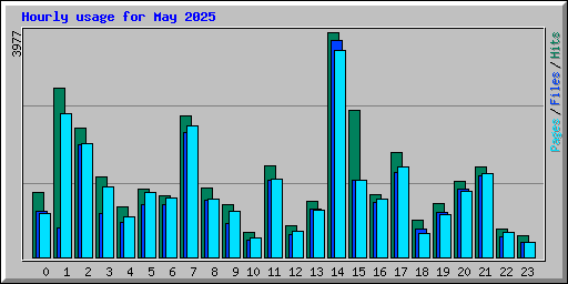 Hourly usage for May 2025