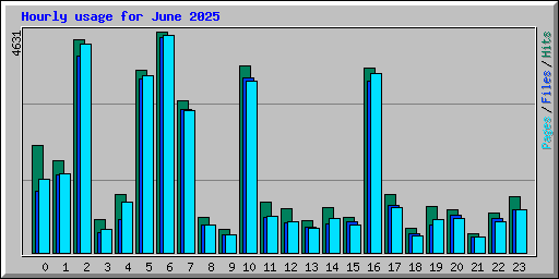 Hourly usage for June 2025