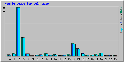 Hourly usage for July 2025
