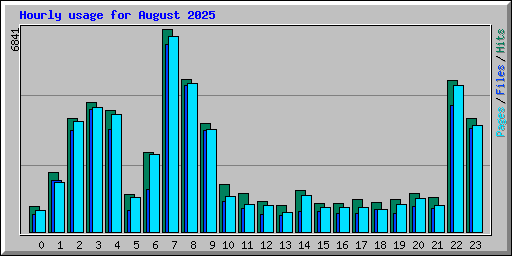 Hourly usage for August 2025