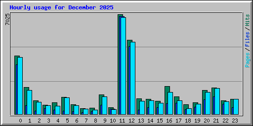 Hourly usage for December 2025