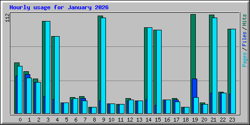Hourly usage for January 2026