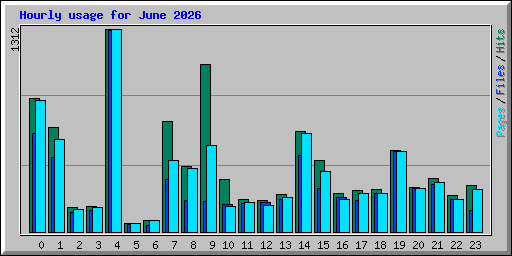 Hourly usage for June 2026